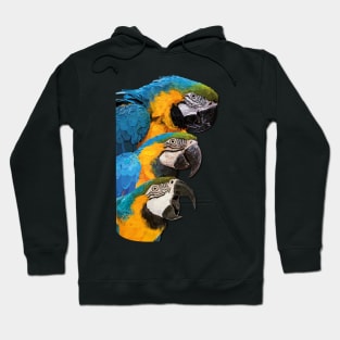 Blue-and-yellow Macaw Hoodie